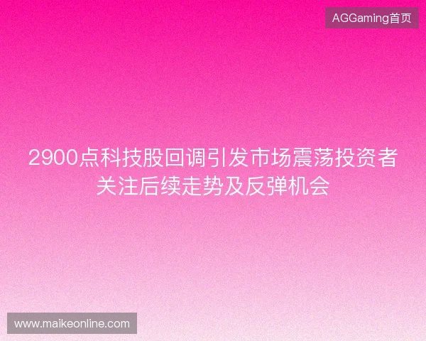 2900点科技股回调引发市场震荡投资者关注后续走势及反弹机会 2900点科技股回调引发市场震荡投资者关注后续走势及反弹机会