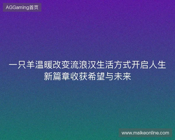 一只羊温暖改变流浪汉生活方式开启人生新篇章收获希望与未来